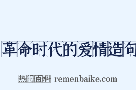 革命时代的爱情造句是什么意思的图片